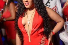 Celebrity Playground 2018