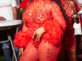 DSC_8230