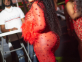 DSC_8231