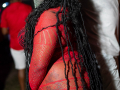 DSC_8254