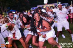 Daydreams 2019