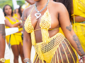 DSC_0229