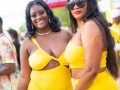 DSC_0241