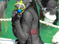 JAP_7258