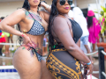 DSC_9559