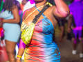 DSC_9223
